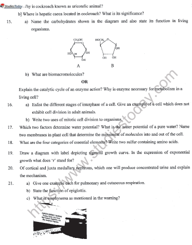 CBSE Class 11 Biology Sample Paper Set J Solved